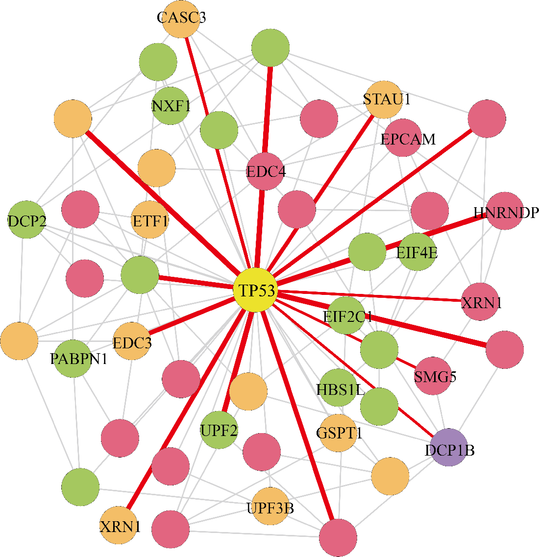 Protein-protein interaction