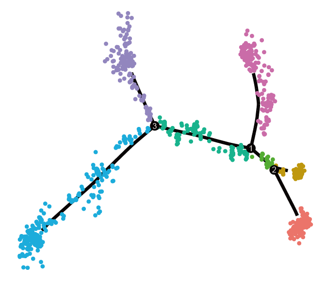 Cell Trajectory